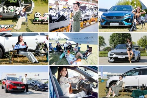 真誠，才是汽車消費(fèi)的“必殺技”——從神龍汽車雙十一活動(dòng)談起