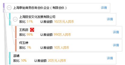 上海泰始商務咨詢合伙企業（有限合伙）的業務領域與發展前景