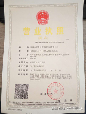 【高清圖片】聚焦財富前沿——全面識別聊城實業投資考量點（公司與標簽掃描）